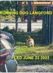 HAPPY ENDINGS - COLWOOD BC. / JUNE 22, 2022