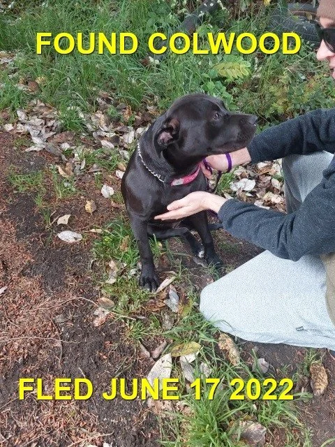 HAPPY ENDINGS - COLWOOD BC. / JUNE 17, 2022