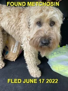 HAPPY ENDINGS - METCHOSIN BC. / JUNE 17, 2022