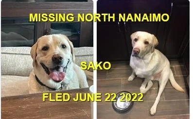 HAPPY ENDINGS - NANAIMO NORTH / SAKO / JUNE 22, 2022