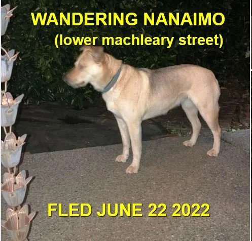 UNRESOLVED - NANAIMO BC. / JUNE 21, 2022