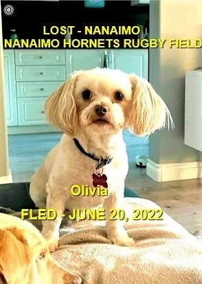 HAPPY ENDINGS - NANAIMO BC. / OLIVIA / JUNE 20, 2022