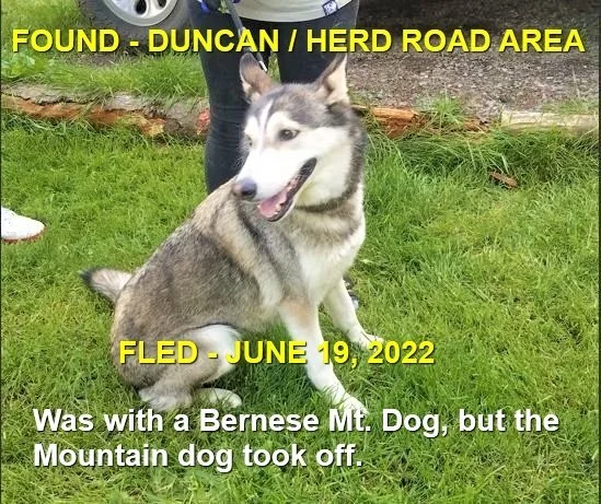 HAPPY ENDINGS - DUNCAN BC. / LUNA / JUNE 19, 2022