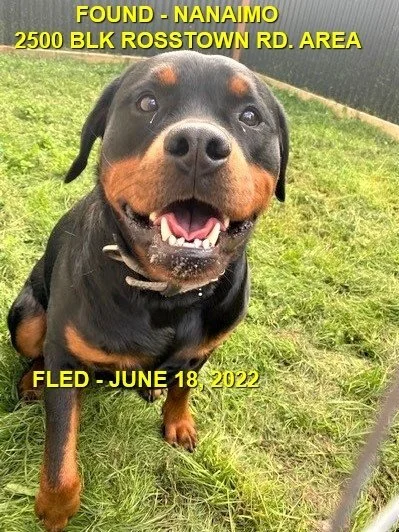 HAPPY ENDINGS - NANAIMO BC. / JUNE 19, 2022