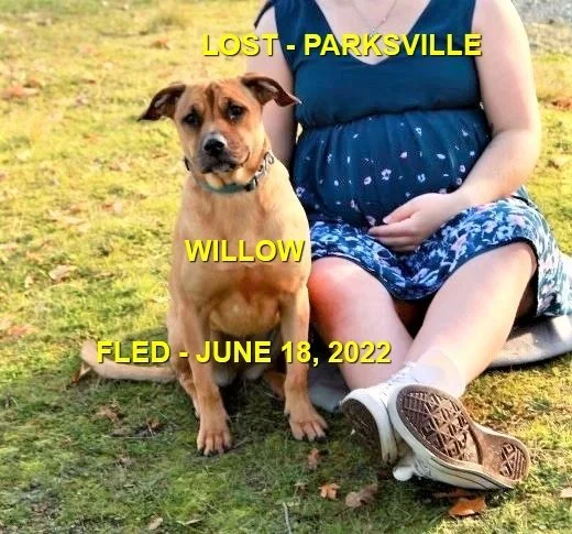 HAPPY E ENDINGS - PARKSVILLE BC. / WILLOW / JUNE 17, 2022