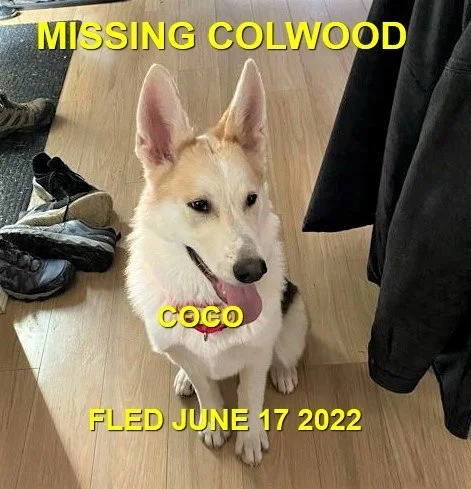HAPPY ENDINGS - COLWOOD BC. / COCO / JUNE 17, 2022