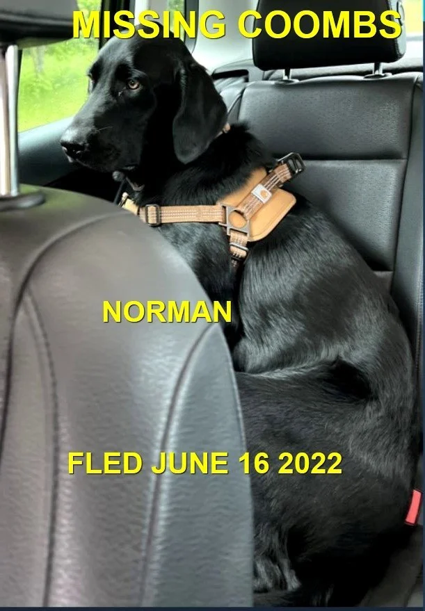 HAPPY ENDINGS - COOMBS BC. / NORMAN / JUNE 16, 2022