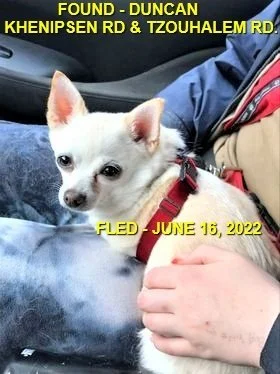 HAPPY ENDINGS - COWICHAN BAY BC. / PIXIE / JUNE 16, 2022