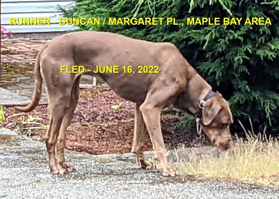 UNRESOLVED - DUNCAN BC. / JUNE 16, 2022