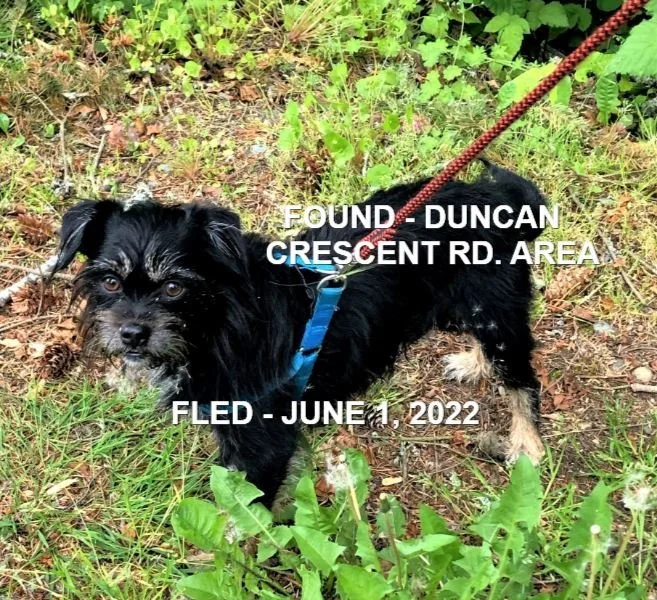 HAPPY ENDINGS - DUNCAN BC. / QUINCY / JUNE 1, 2022