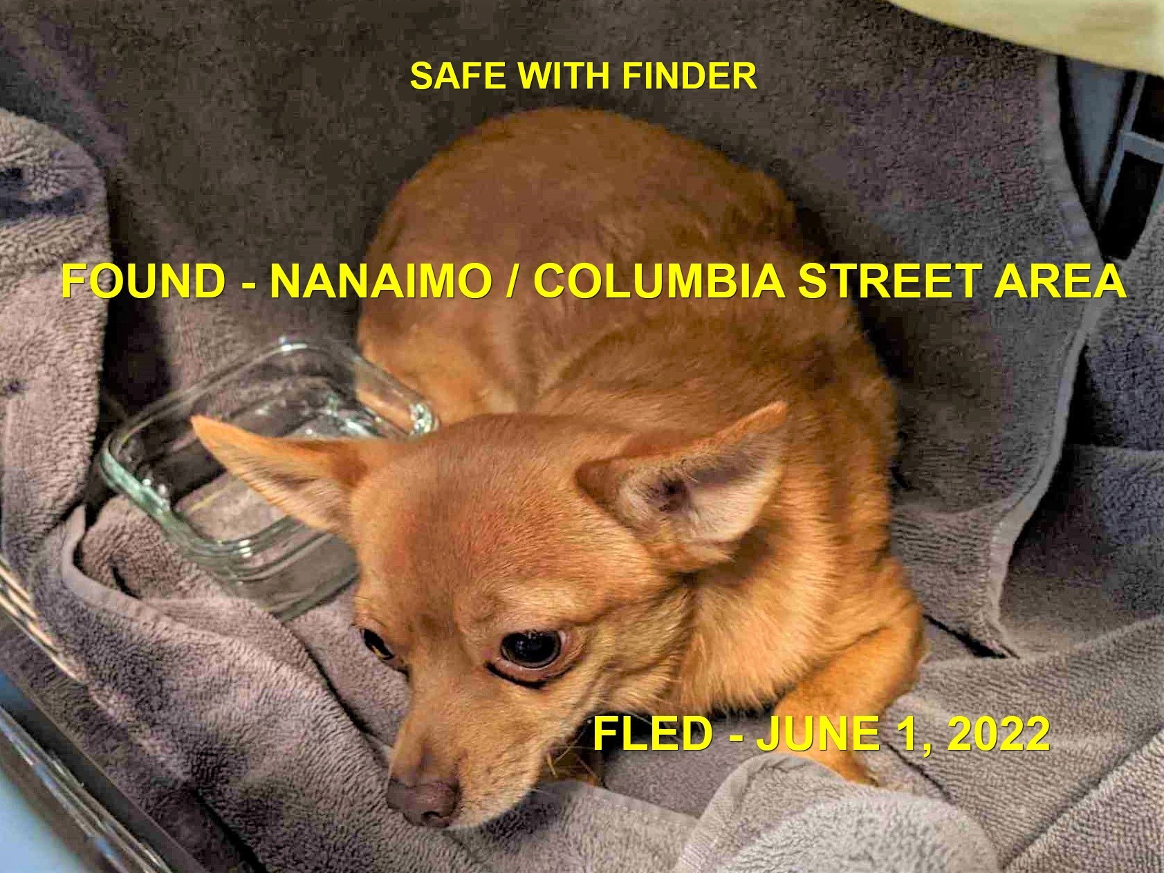 HAPPY ENDINGS - NANAIMO BC. / JUNE 1, 2022