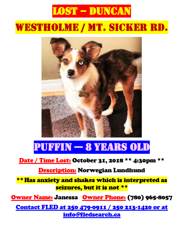 STILL MISSING 2018 / DUNCAN BC. / PUFFIN / OCT. 31, 2018