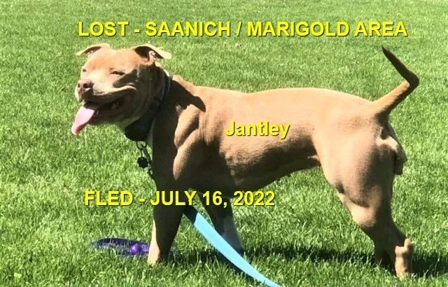 HAPPY ENDINGS - SAANICH BC. / JANTLEY / JULY 16, 2022