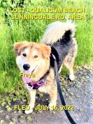 HAPPY ENDINGS - QUALICUM BEACH BC. / FREYA / JULY 15, 2022