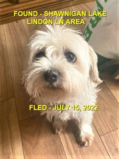 HAPPY ENDINGS - SHAWNIGAN LAKE BC. / MILA / JULY 15, 2022