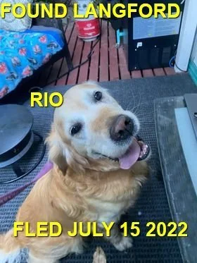 HAPPY ENDINGS - LANGFORD BC. / RIO / JULY 15, 2022