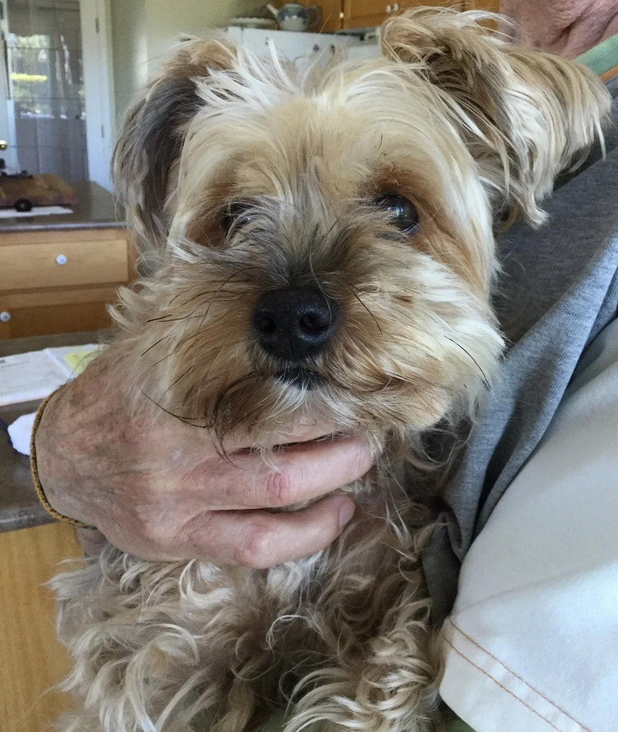 HAPPY ENDINGS - DUNCAN BC. / OSCAR / JULY 14, 2022