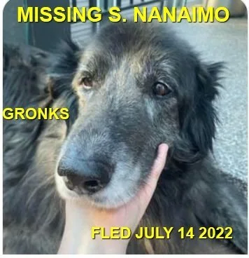 HAPPY ENDINGS - S. NANAIMO BC. / GRONKS / JULY 14, 2022