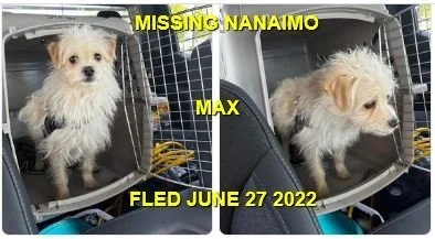 HAPPY ENDINGS - NANAIMO BC. / MAX / JUNE 27, 2022