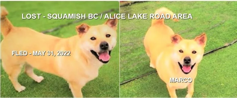 HAPPY ENDINGS - SQUAMISH BC. / MARCO / MAY 16, 2022