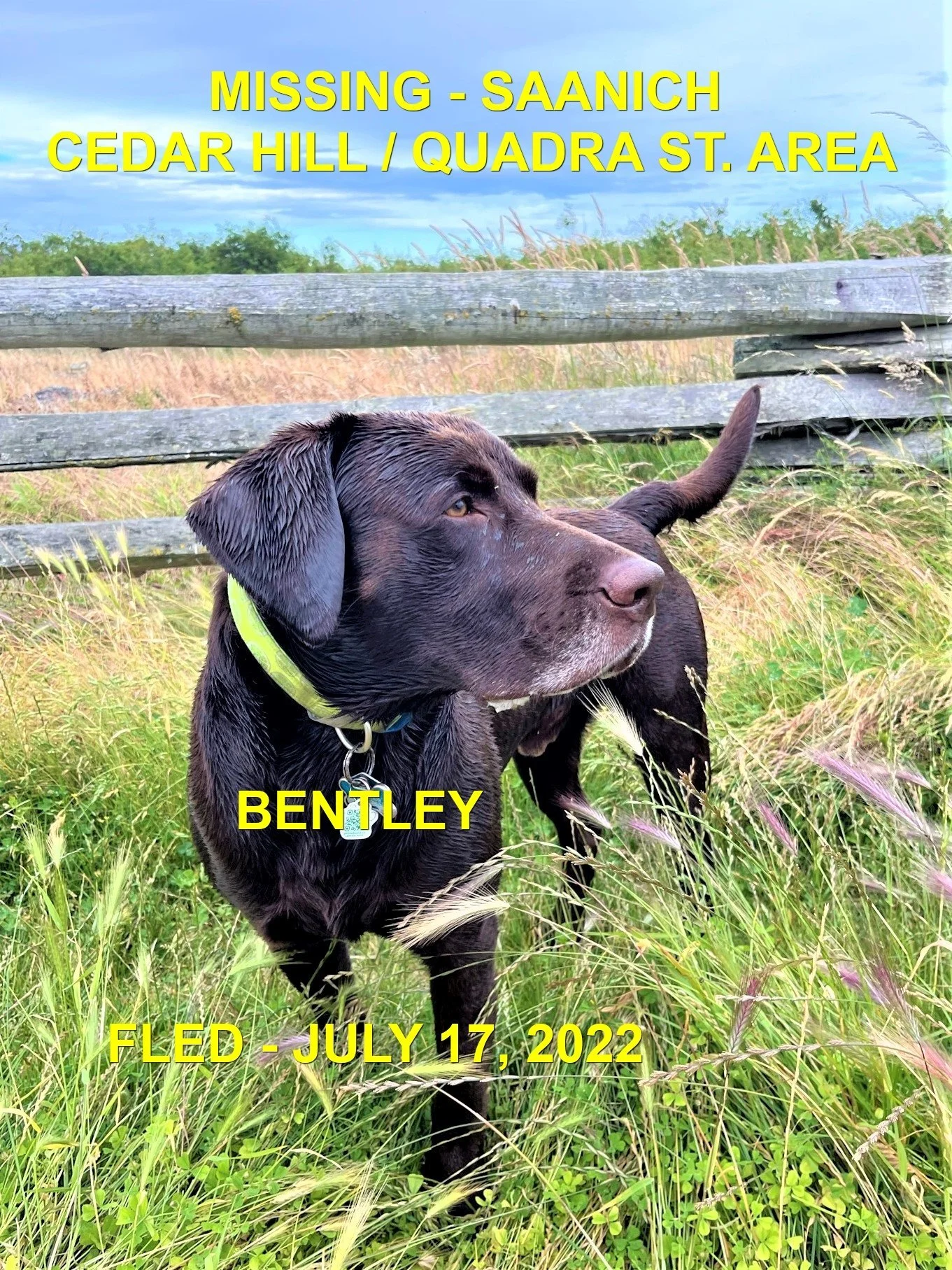 HAPPY ENDINGS - SAANICH BC. / BENTLEY / JULY 18, 2022