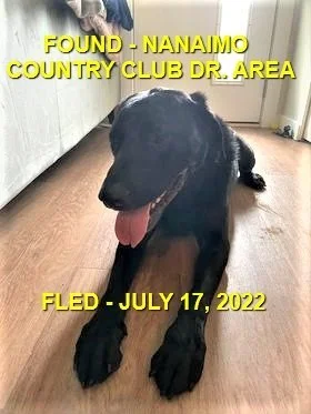 HAPPY ENDINGS - NANAIMO BC. / JULY 17, 2022