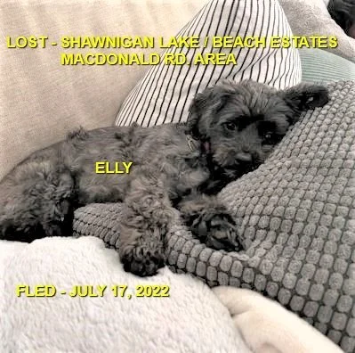 HAPPY ENDINGS - SHAWNIGAN LAKE BC. / ELLY / JULY 17, 2022