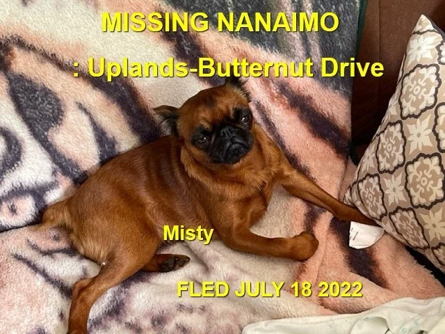 HAPPY ENDINGS - NANAIMO BC. / MISTY / JULY 17, 2022