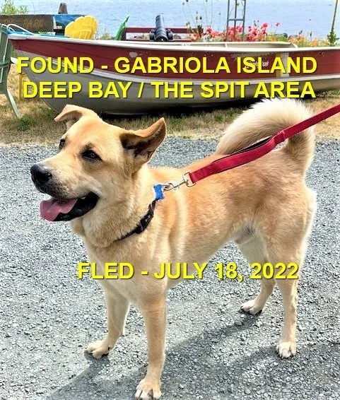 HAPPY ENDINGS - GABRIOLA ISLAND BC. / JULY 18, 2022