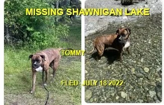 HAPPY ENDINGS - SHAWNIGAN LAKE BC. / TOMMY / JULY 18, 2022