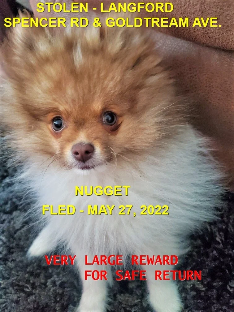 HAPPY ENDINGS - LANGFORD BC. / NUGGET / MAY 26, 2022