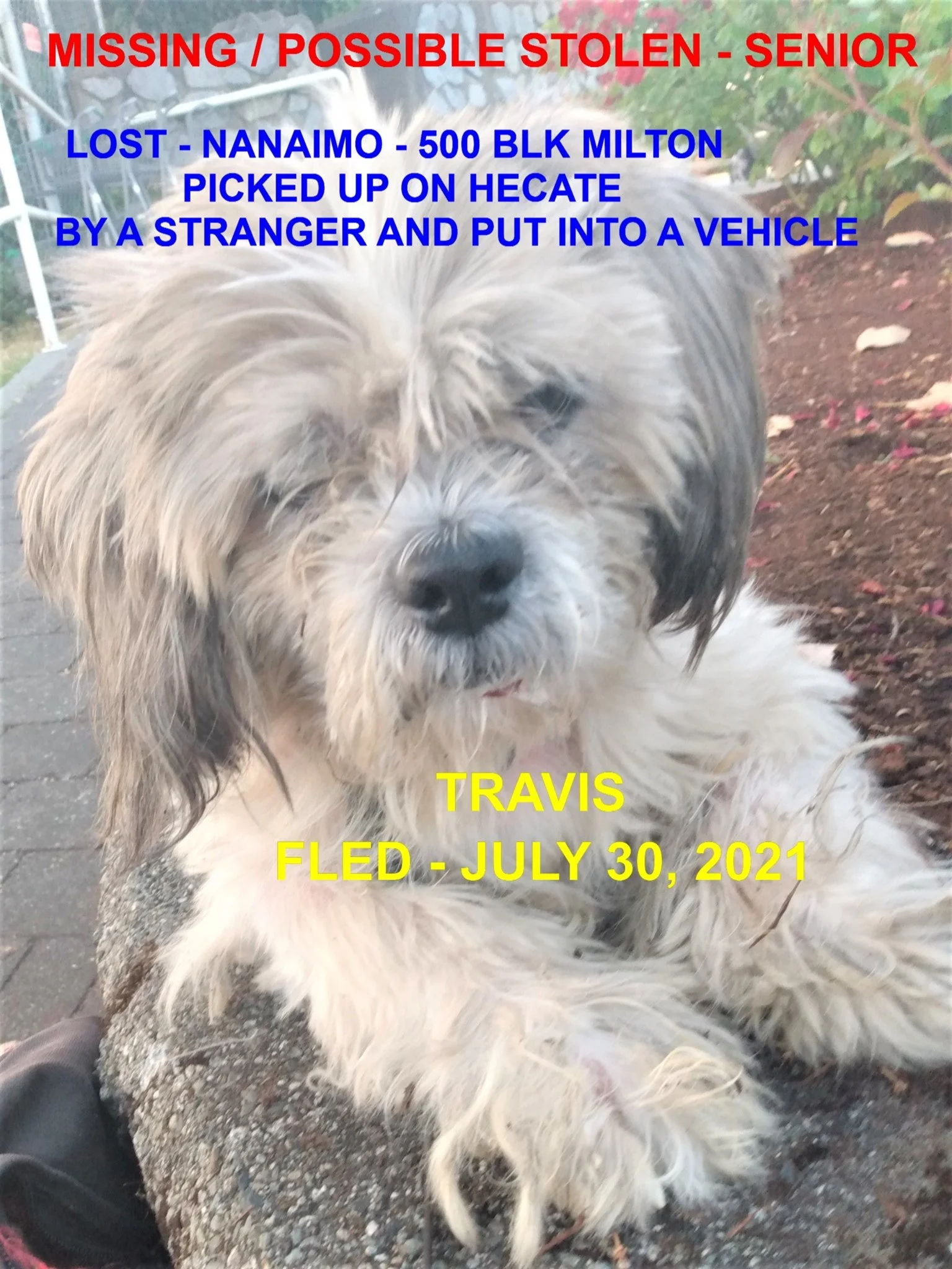 STILL MISSING - NANAIMO / TRAVIS / JULY 17, 2021
