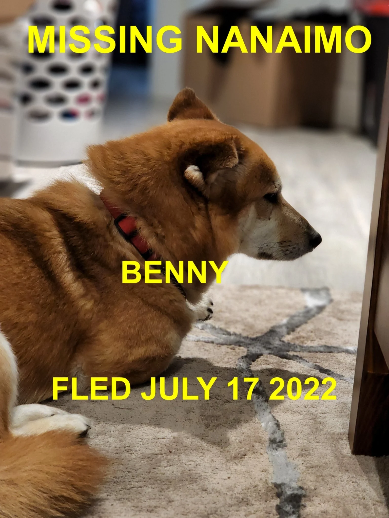HAPPY ENDINGS - NANAIMO BC. / BENNY / JULY 16, 2022 