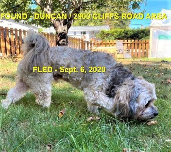 HAPPY ENDINGS - DUNCAN BC. / SEPT. 6, 2020