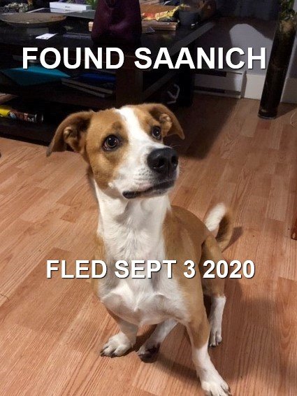 HAPPY ENDINGS - SAANICH  BC. / SPIKE / SEPT. 3, 2020