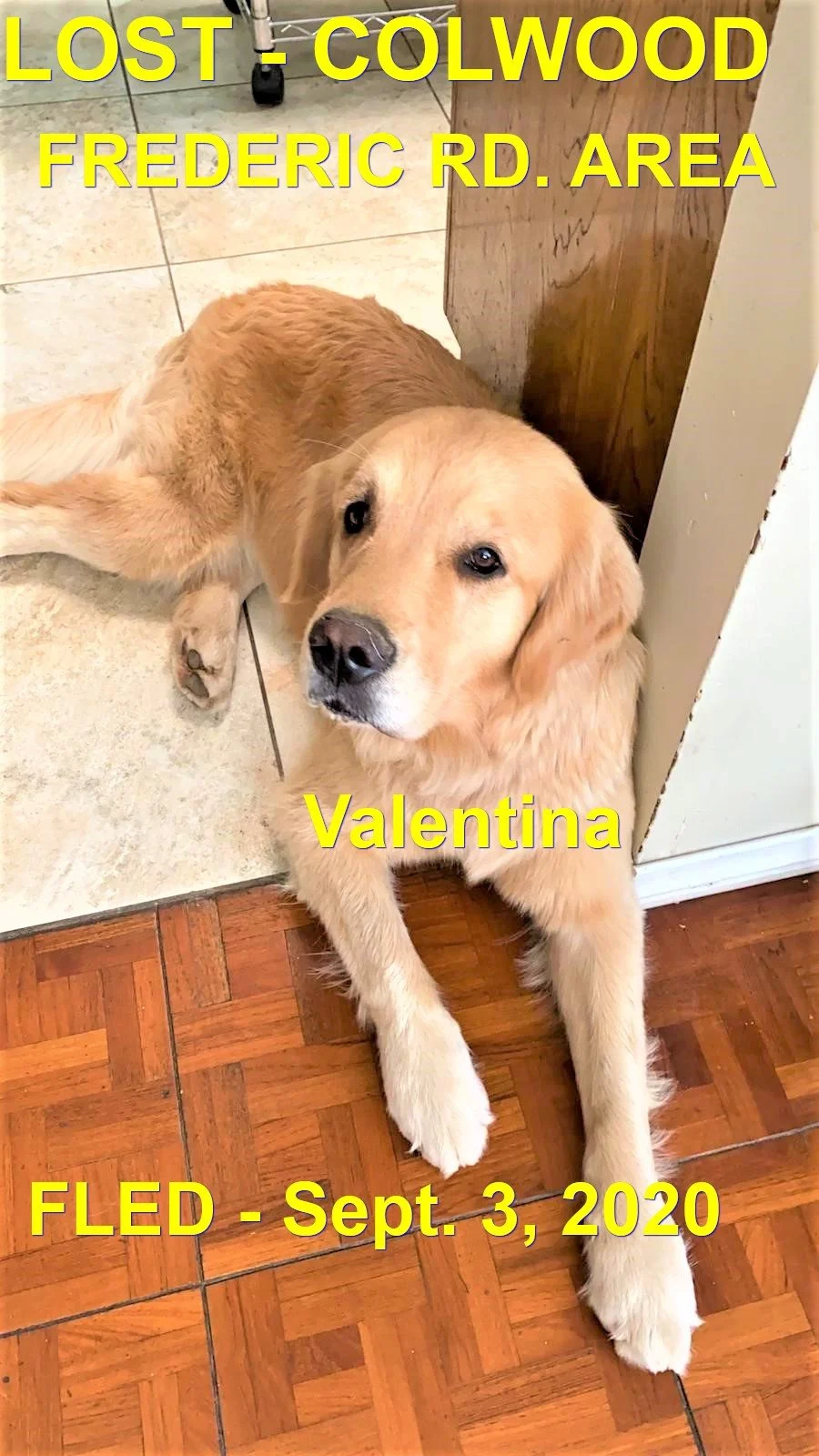 HAPPY ENDINGS - COLWOOD BC. / VALENTINA / AUG. 3, 2020