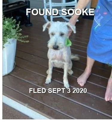 HAPPY ENDINGS - SOOKE BC. / SEPT. 3, 2020