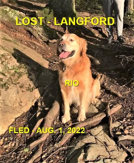 HAPPY ENDINGS - LANGFORD BC. / RIO / AUG. 1, 2022