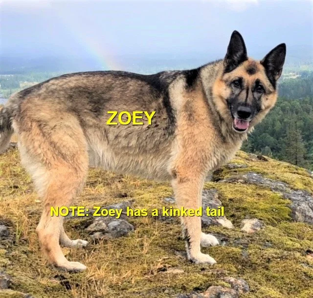 OVER THE RAINBOW BRIDGE / N. NANAIMO BC / ZOEY / AUG. 1, 2022