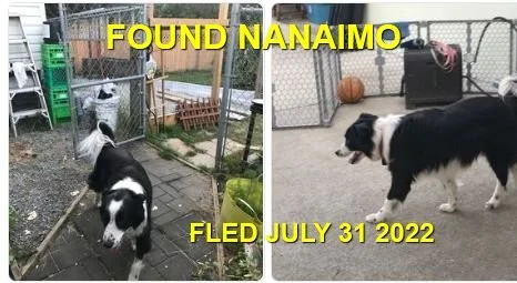 HAPPY ENDINGS - NANAIMO BC. / JULY 31, 2022