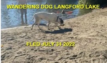 HAPPY ENDINGS - LANGFORD BC. / JULY 31, 2022