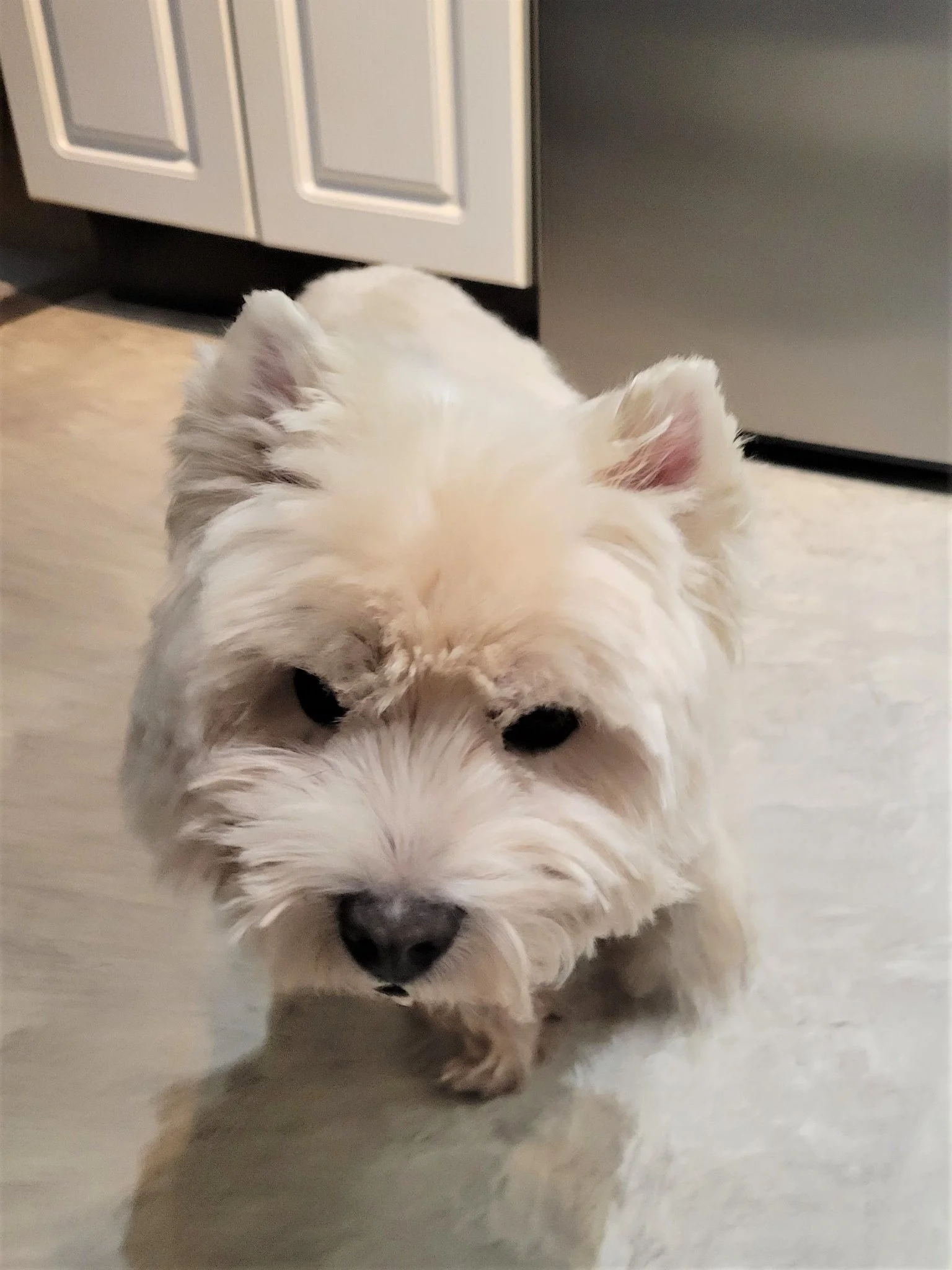 HAPPY ENDINGS - DUNCAN BC. / JULY 30, 2022