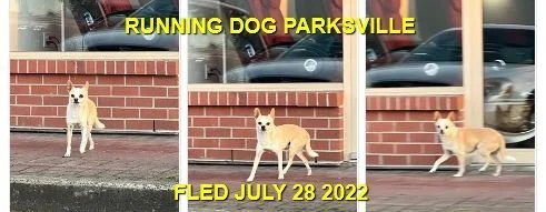 UNRESOLVED - PARKSVILLE BC. / JULY 28, 2022