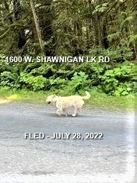 HAPPY ENDINGS - SHAWNIGAN LAKE BC. / ACE / JULY 28, 2022