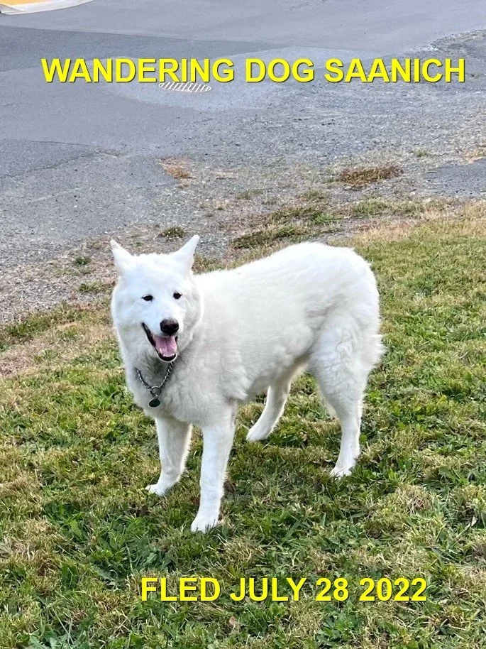 HAPPY ENDINGS - SAANICH BC. / JULY 28, 2022