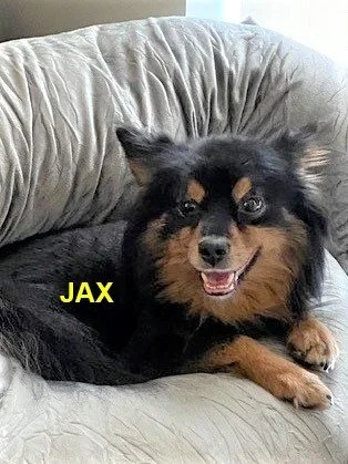 HAPPY ENDINGS - LANGFORD BC. / JAX / JULY 27, 2022