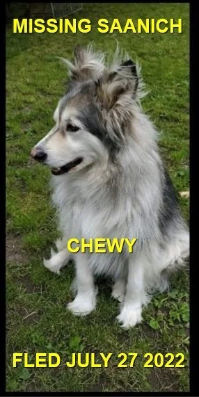 HAPPY ENDINGS - SAANICH BC. / CHEWY / JULY 27, 2022