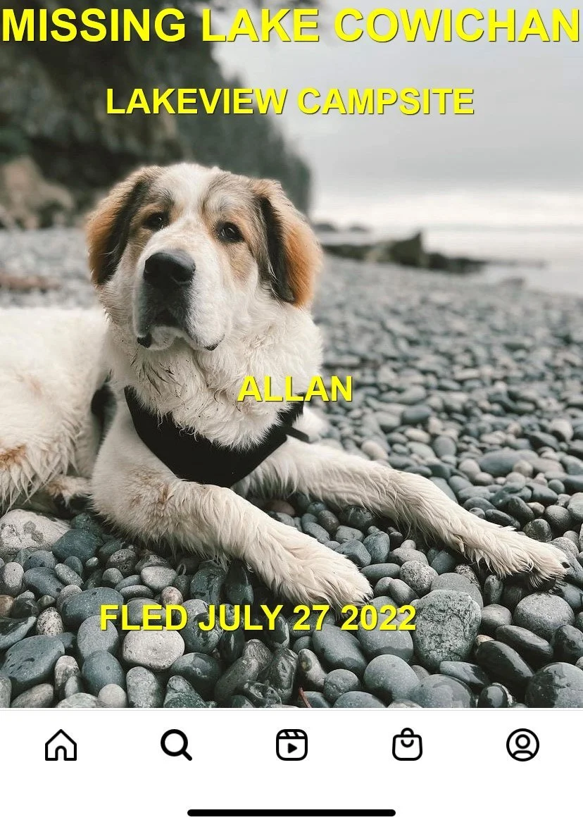 HAPPY ENDINGS - LAKE COWICHAN BC. / ALLAN / JULY 27, 2022