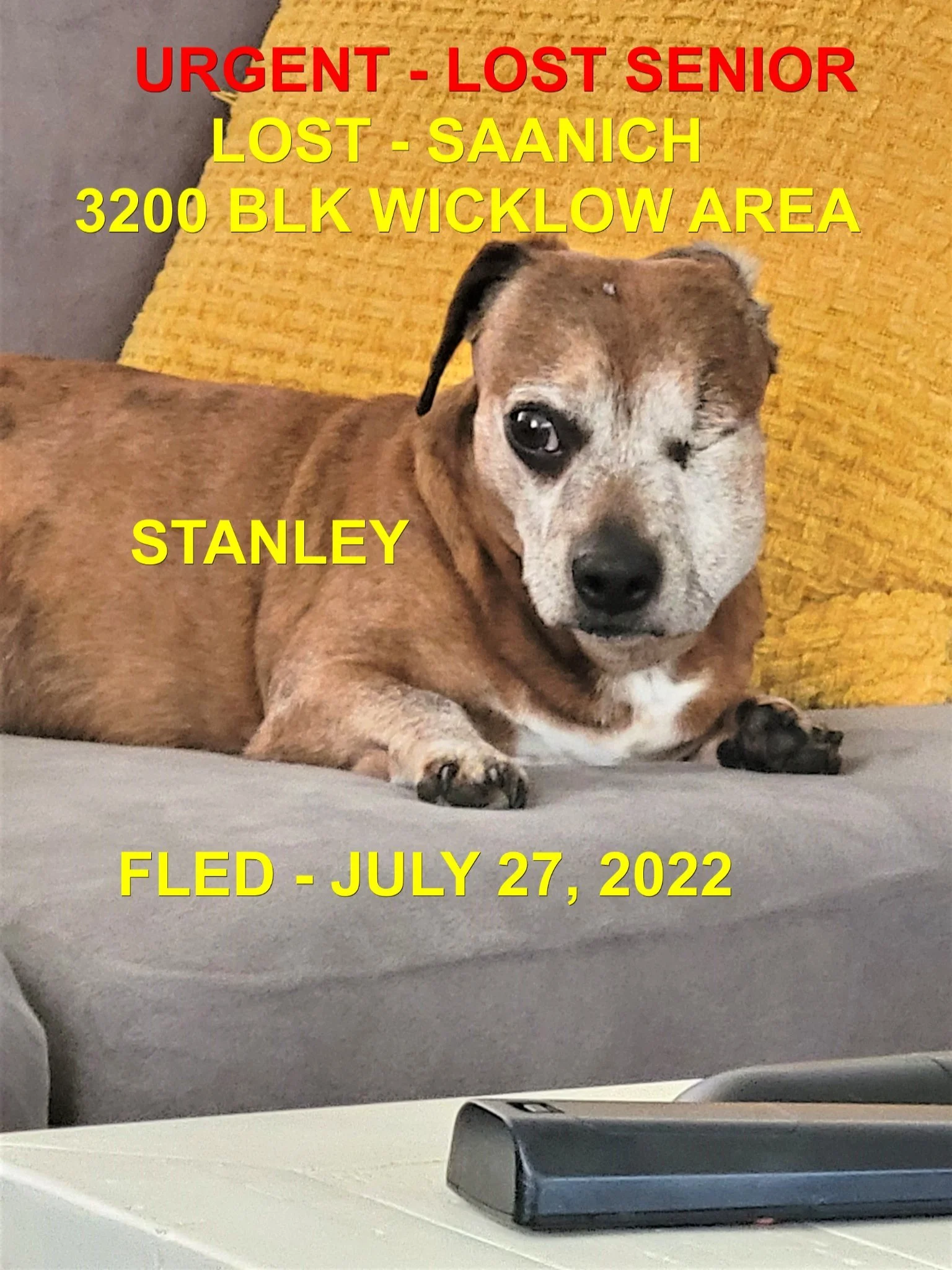 HAPPY ENDINGS - SAANICH BC. / STANLEY / JULY 27, 2022