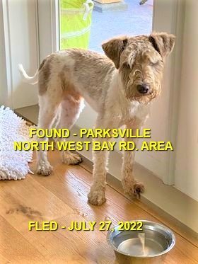 HAPPY ENDINGS - PARKSVILLE BC. / JULY 27, 2022